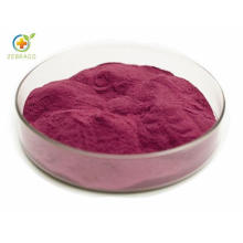 Wholesale Price Black Elderberry Powder with Good Water Soluble